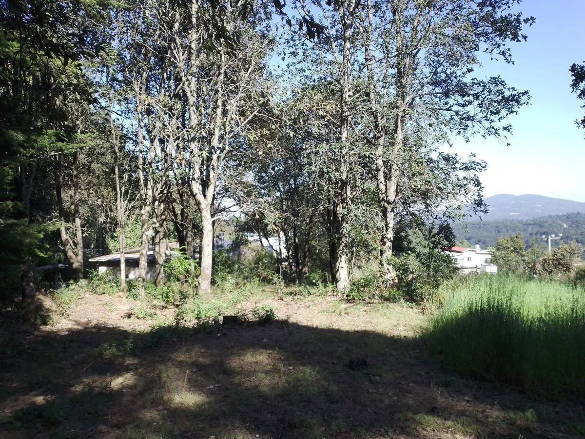 Terreno Spot2