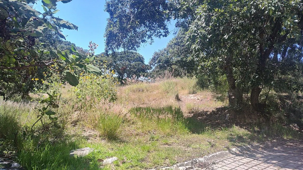 Terreno Spot2