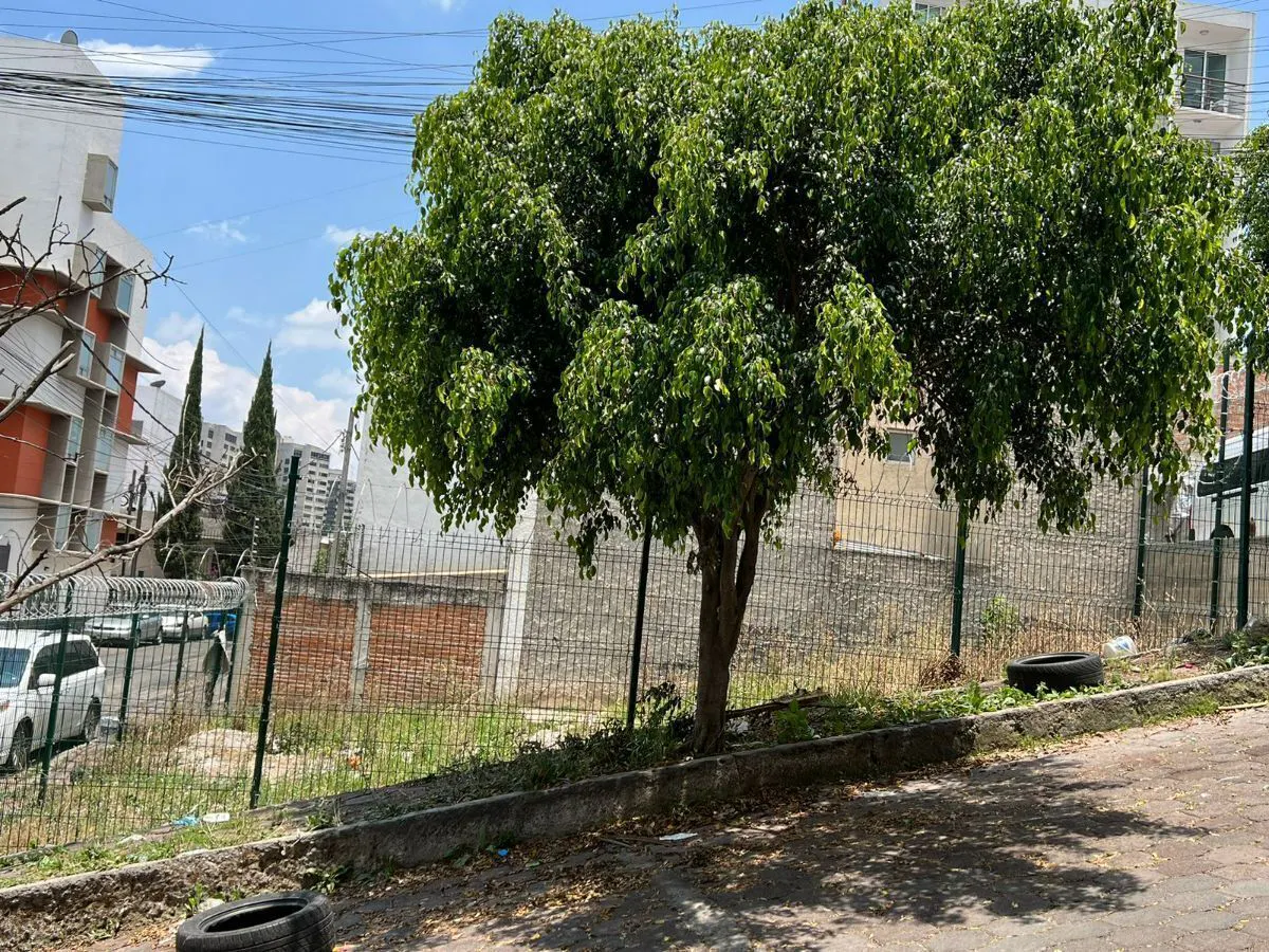 Terreno Spot2