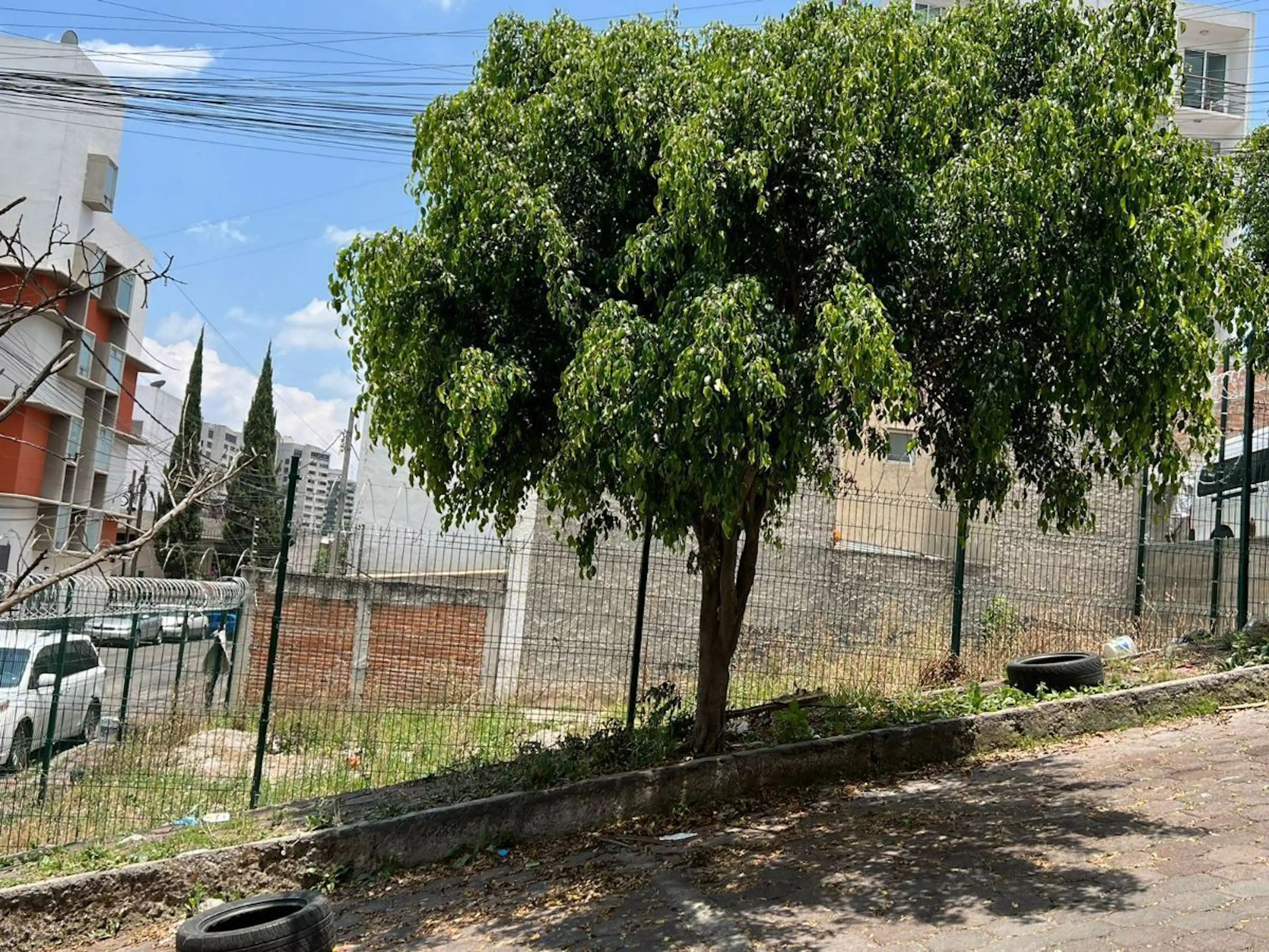 Terreno en renta, Lomas del Chamizal