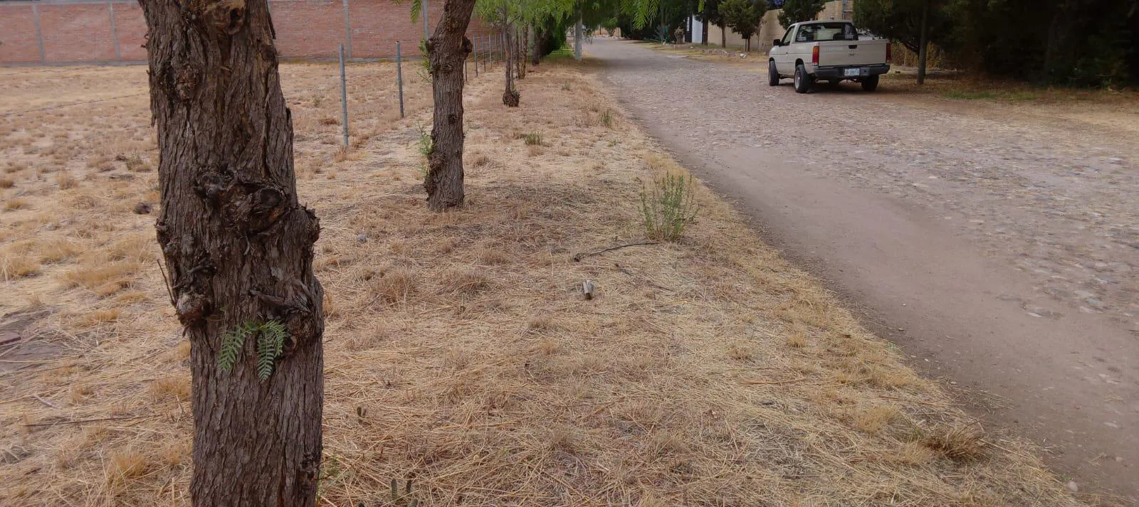 Terreno Spot2