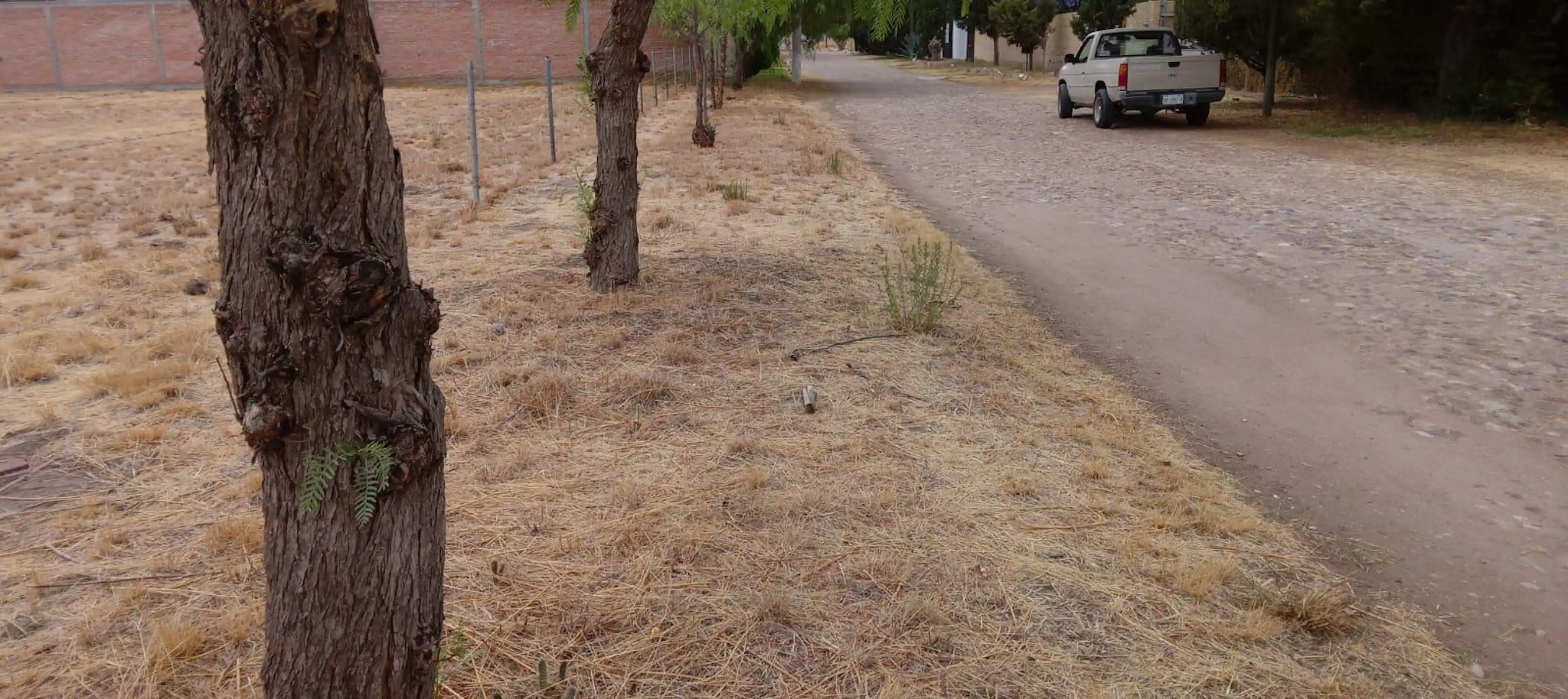 Casa En Fraccionamiento Campestre San Carlos En Aguascalientes.