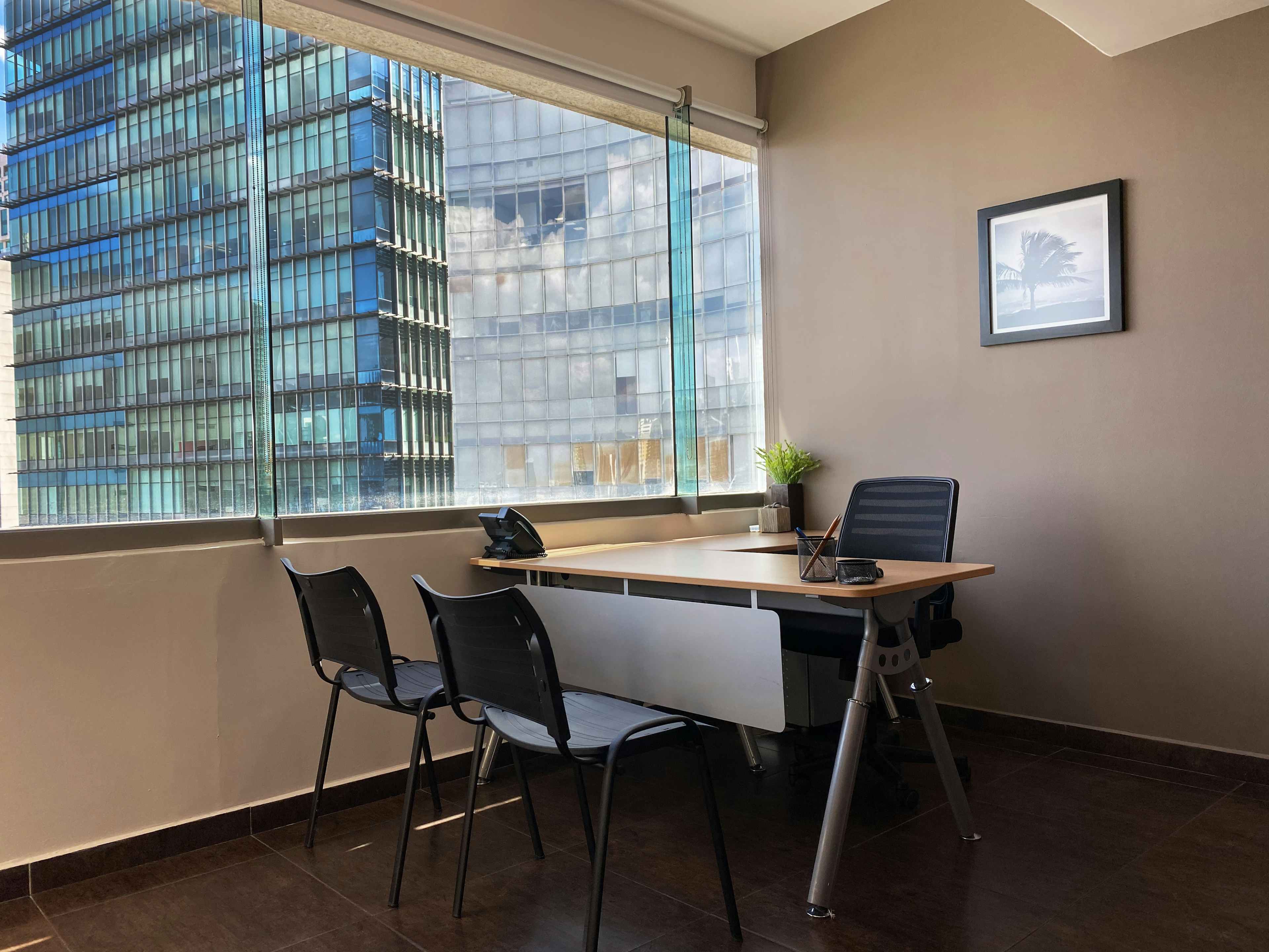 Puesto Fijo 1 Persona