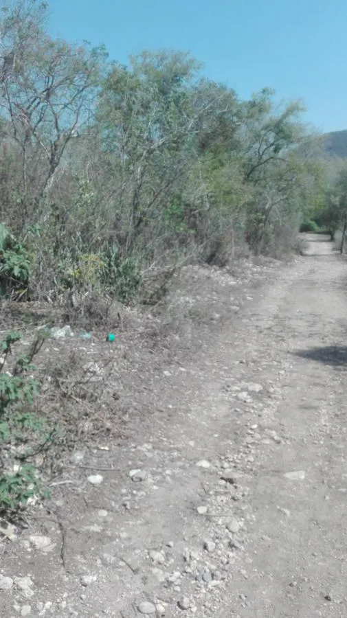 Terreno Spot2
