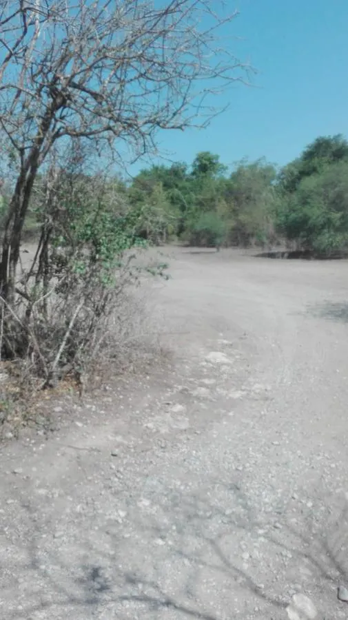 Terreno Spot2