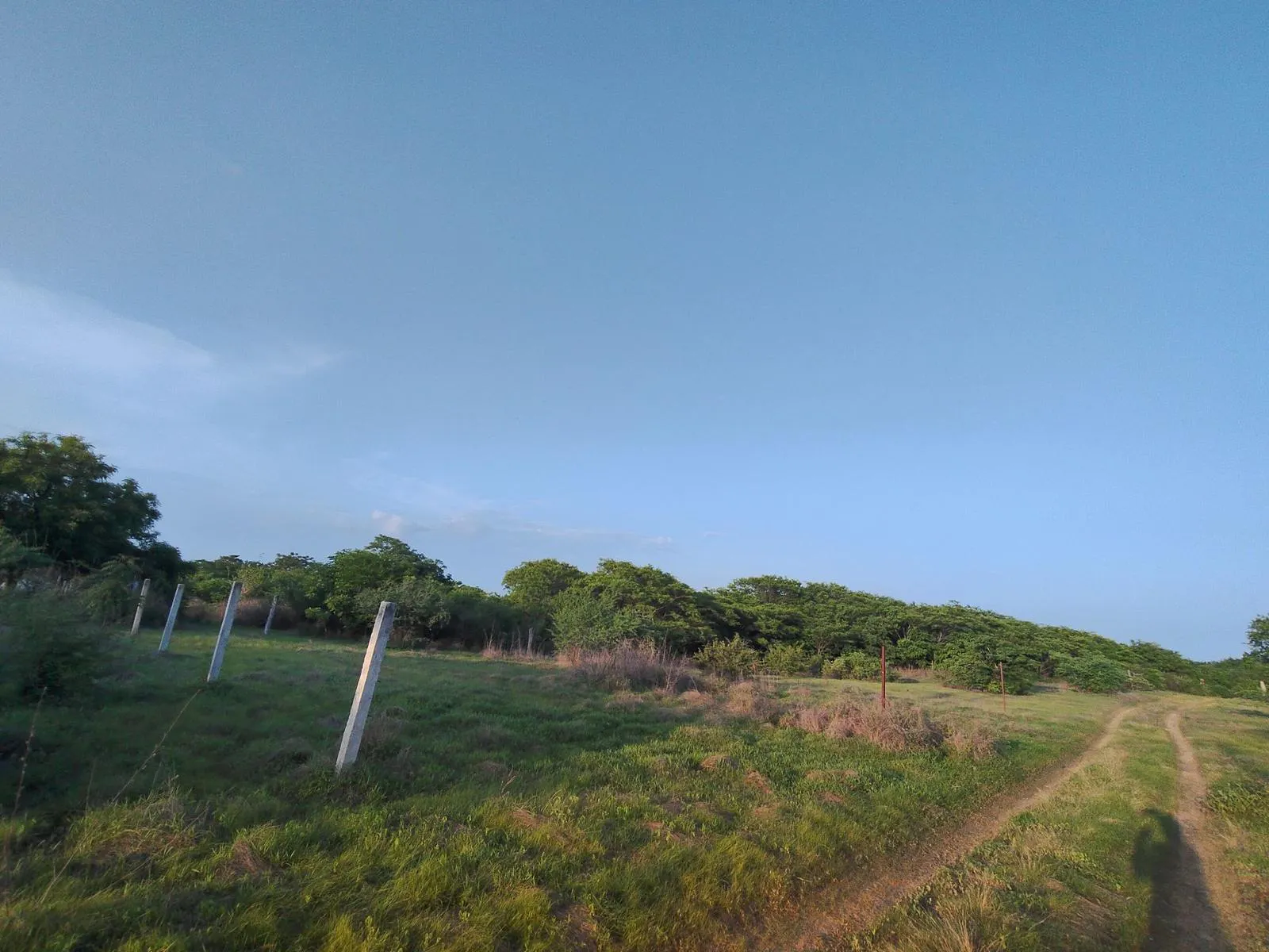 Terreno Spot2