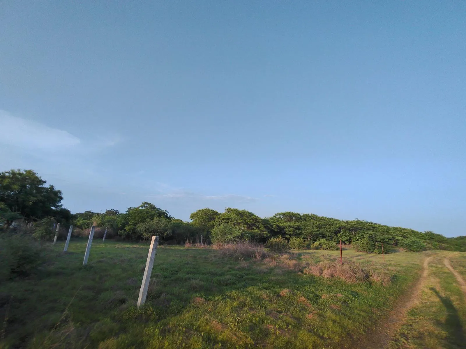 Terreno Spot2
