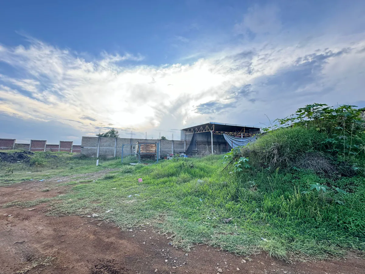 Terreno Spot2