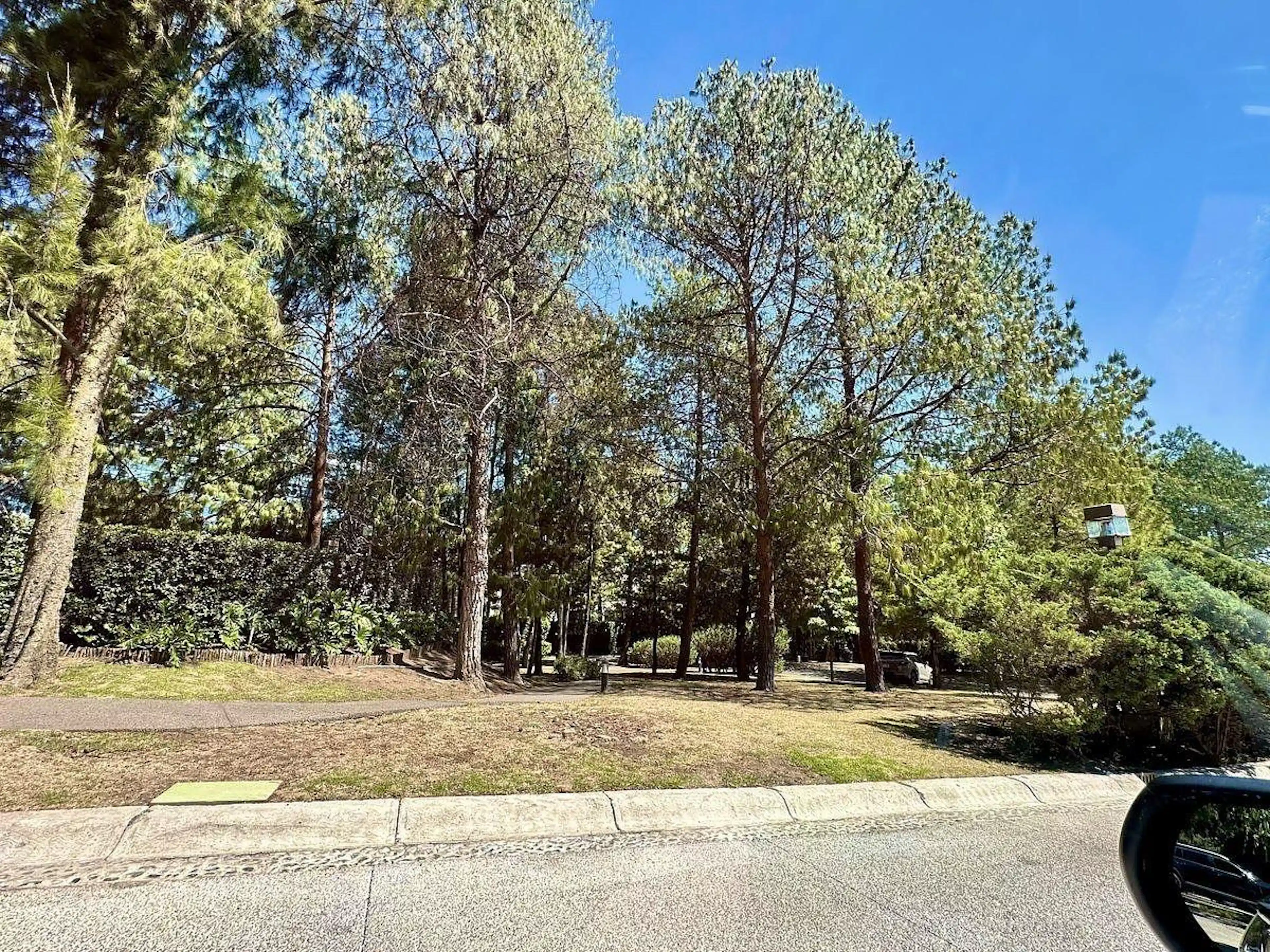 Terreno En Venta Calle Cerrada Jardines Del Pedregal, Álvaro Obregón, Cdmx.