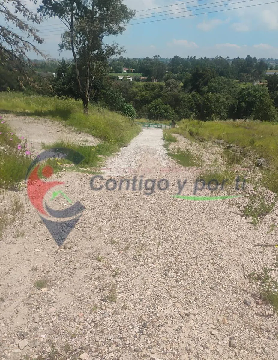 Terreno Spot2