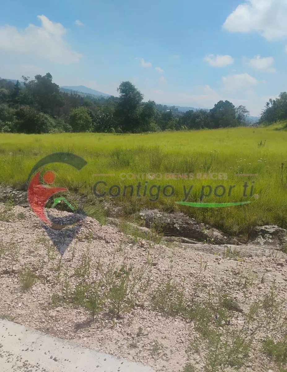 Terreno Spot2