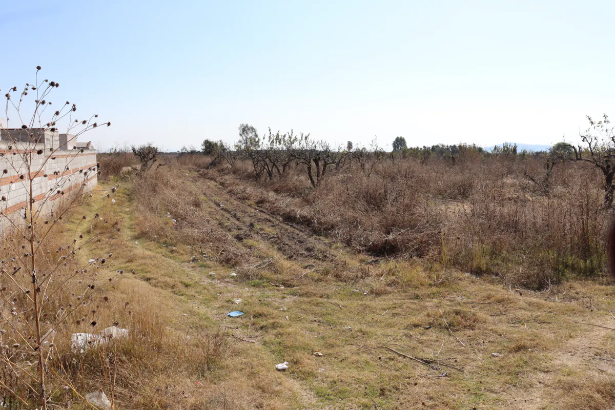 Terreno Spot2