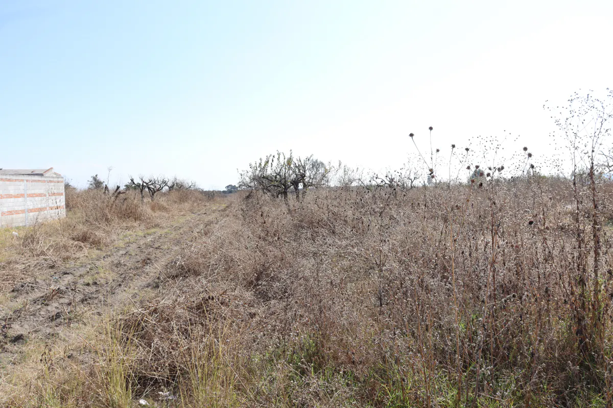 Terreno Spot2