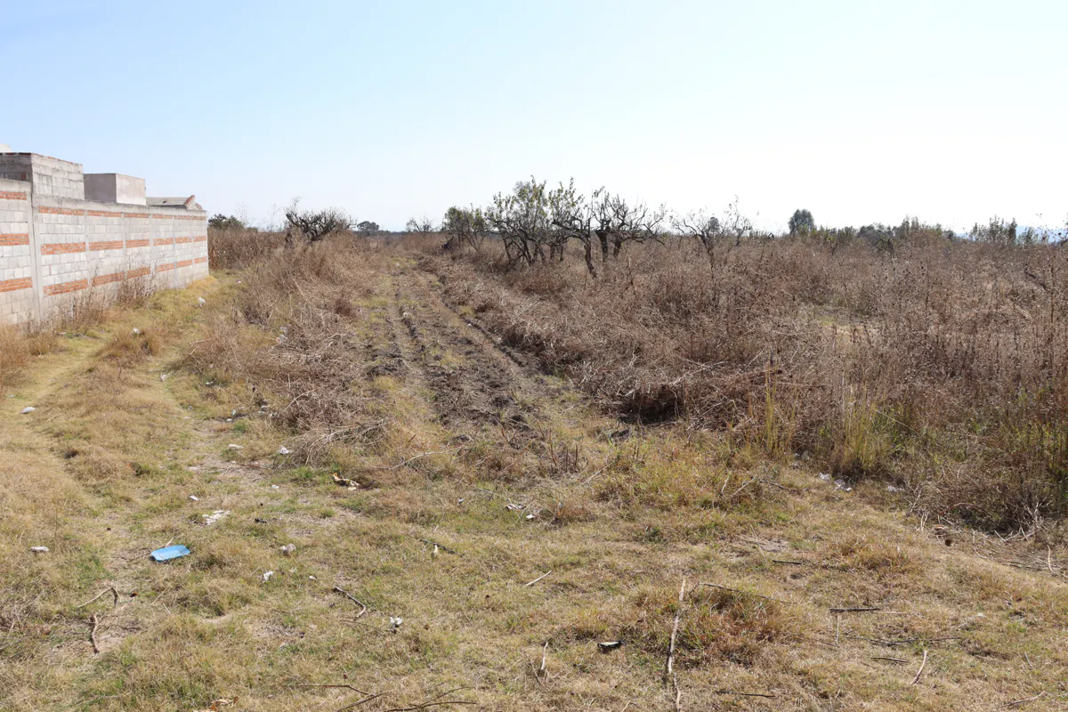 Terreno Spot2
