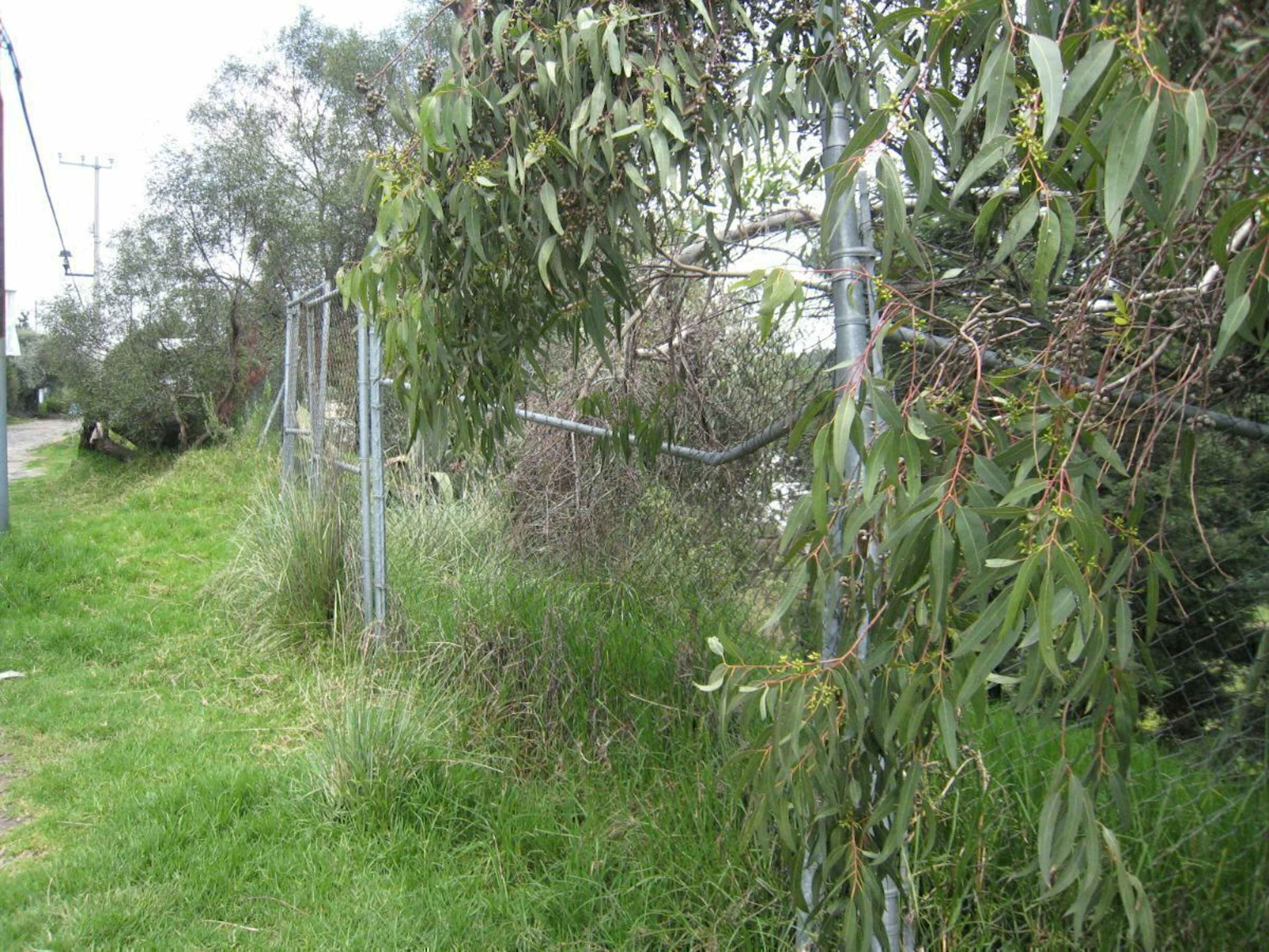 Terreno En Venta Contadero, Cuajimalpa