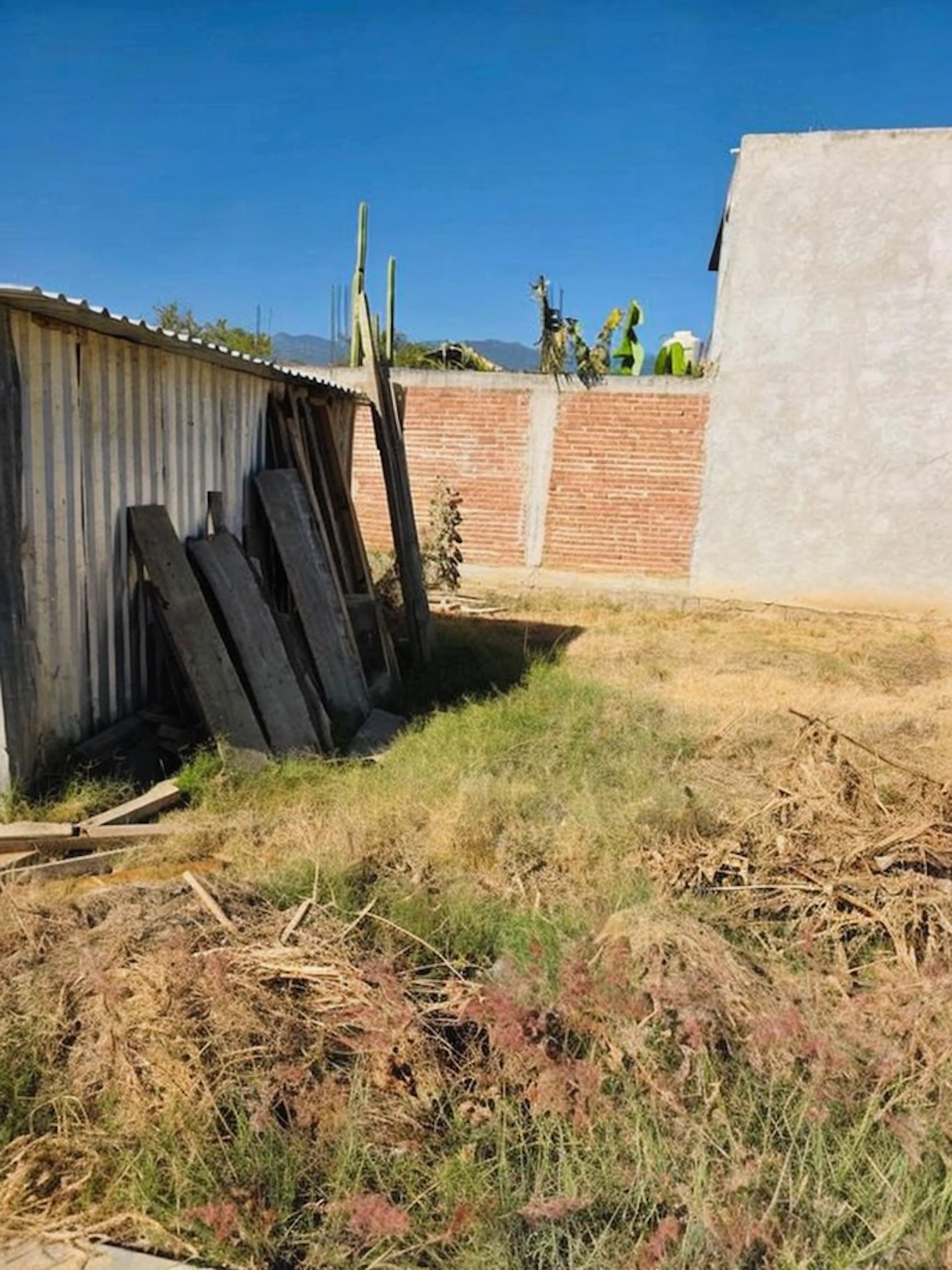 Terreno Spot2