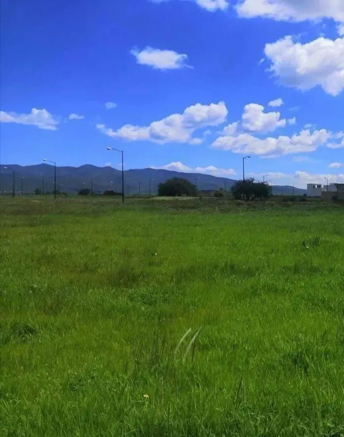 Terreno Spot2