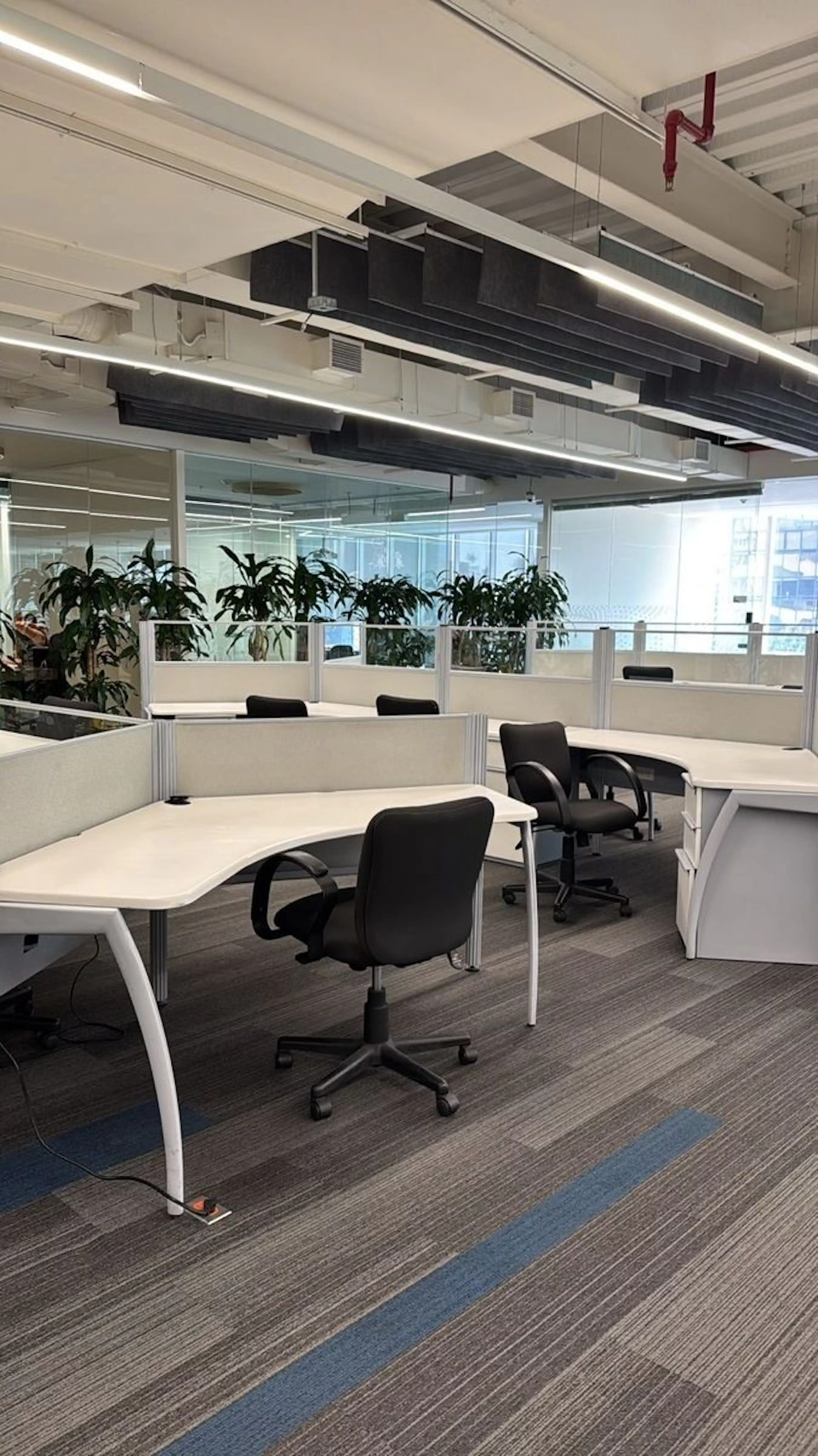 Avenida Paseo De Las Palmas