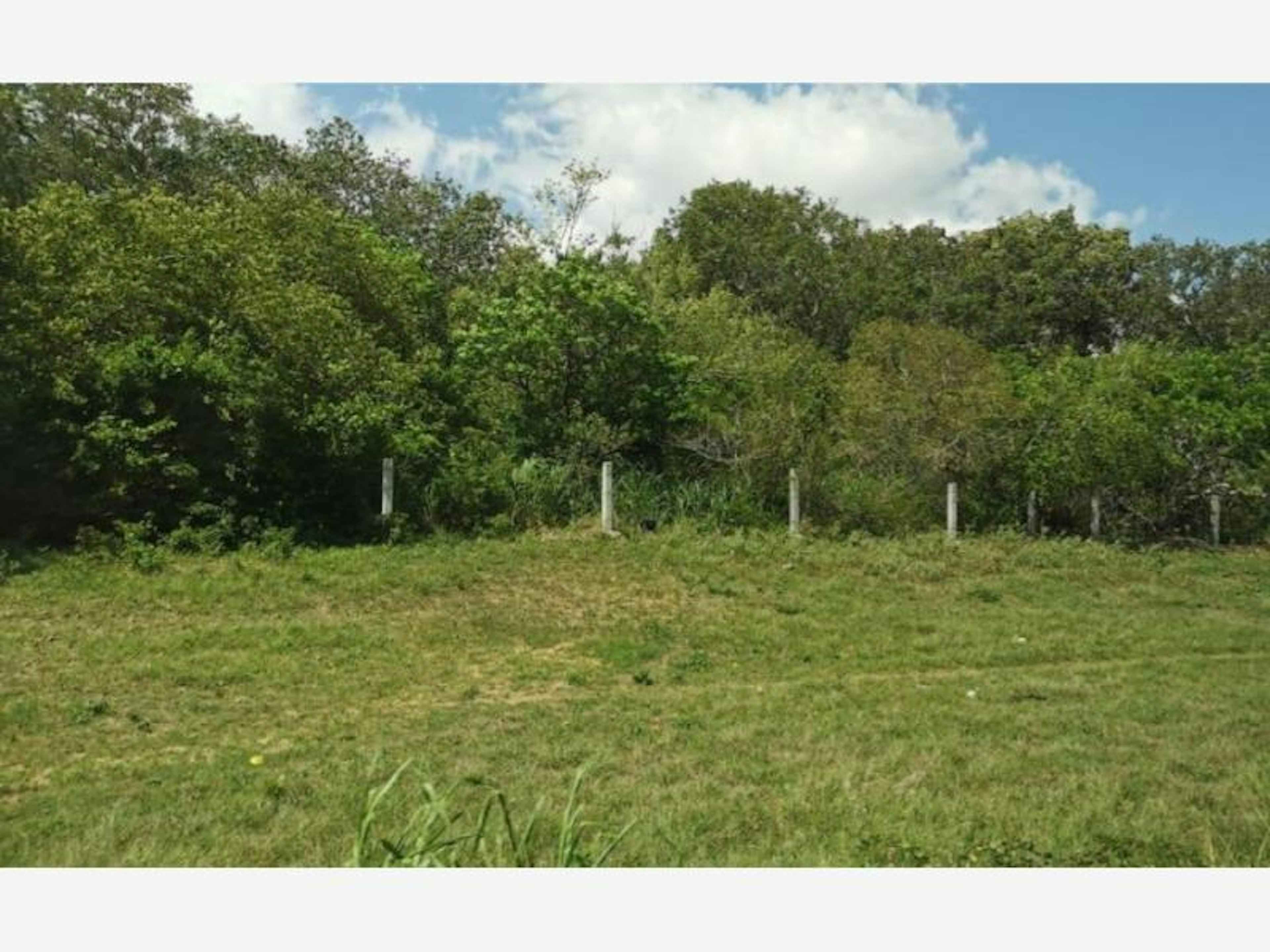 Terreno En Venta En Cerro De Ortega, Tecomán, Colima