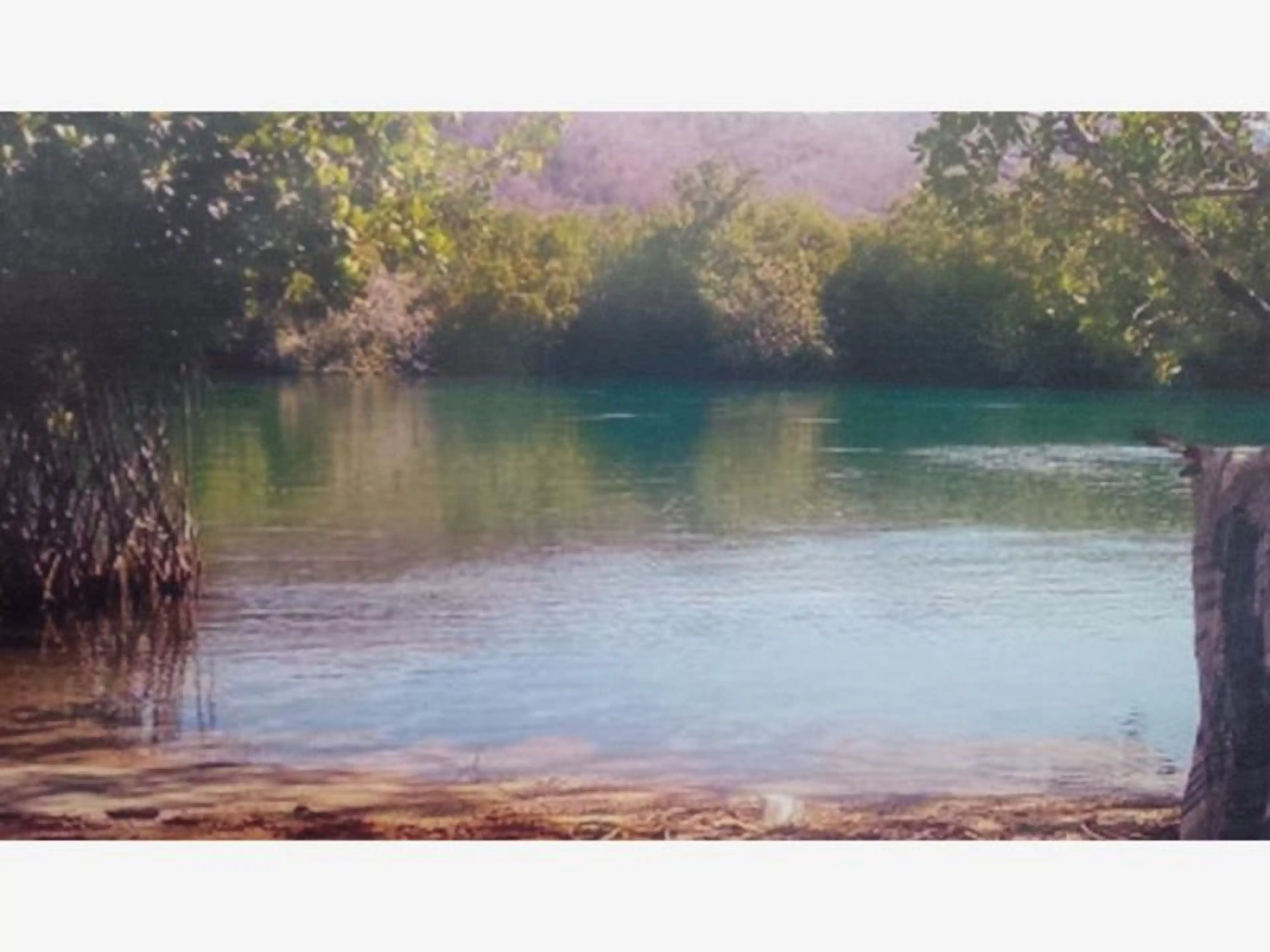 Terreno En Venta En Vainilla Tonameca, Santa María Tonameca, Oaxaca