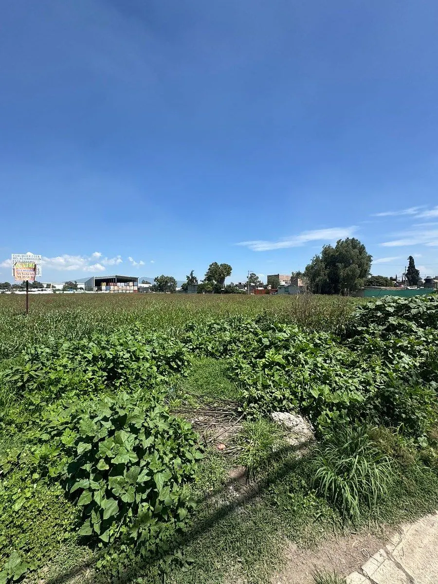 Terreno Spot2