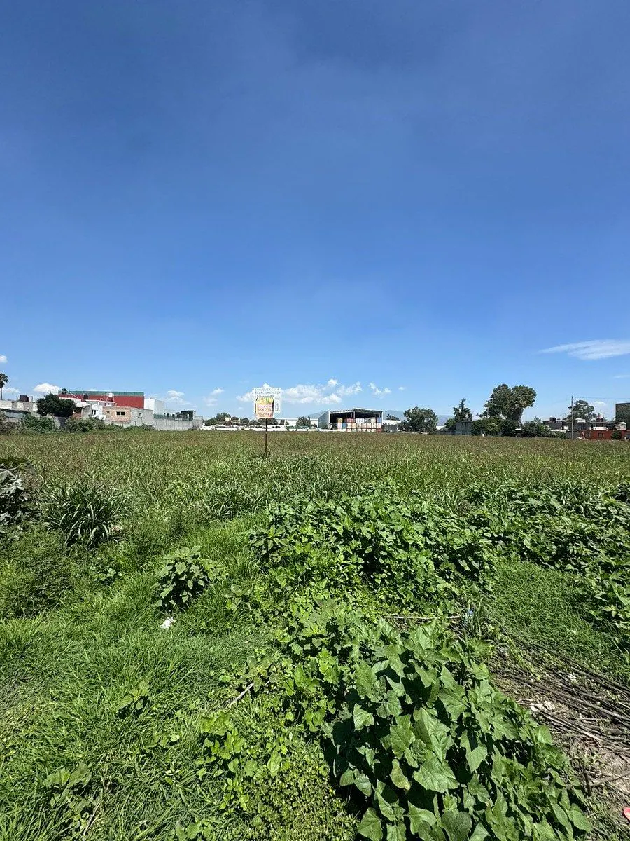 Terreno Spot2