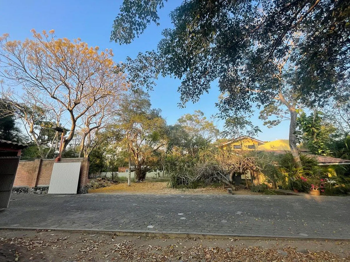 Terreno Spot2