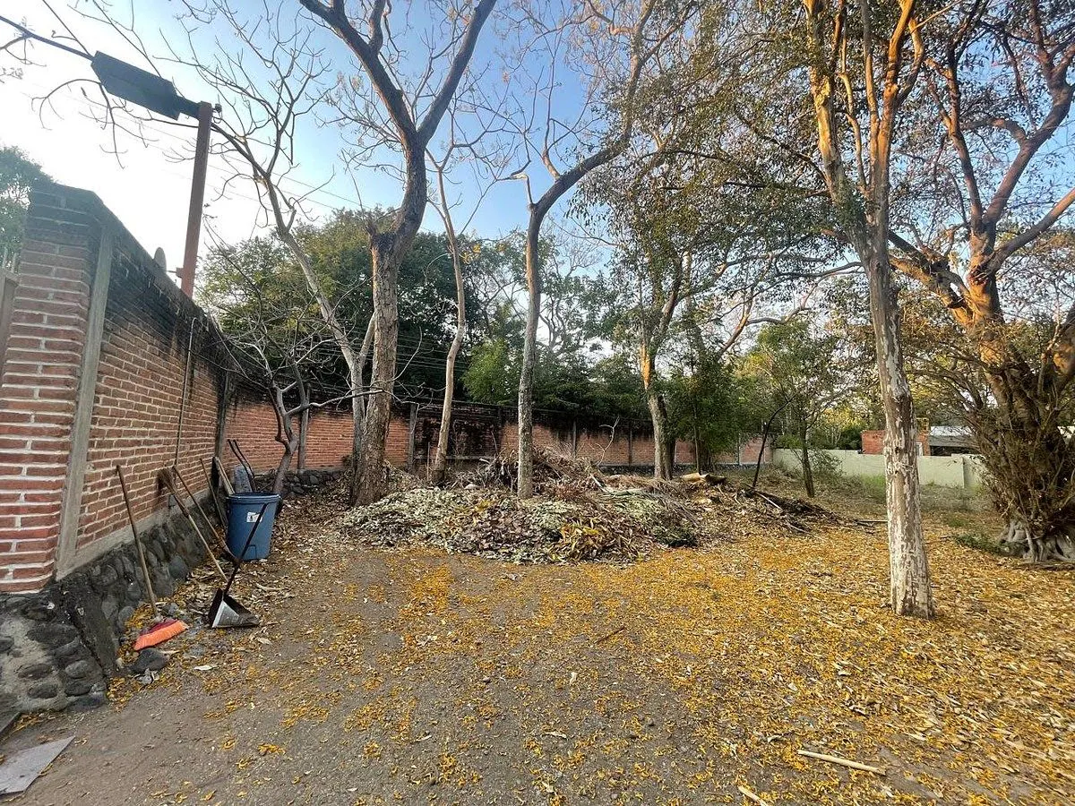 Terreno Spot2