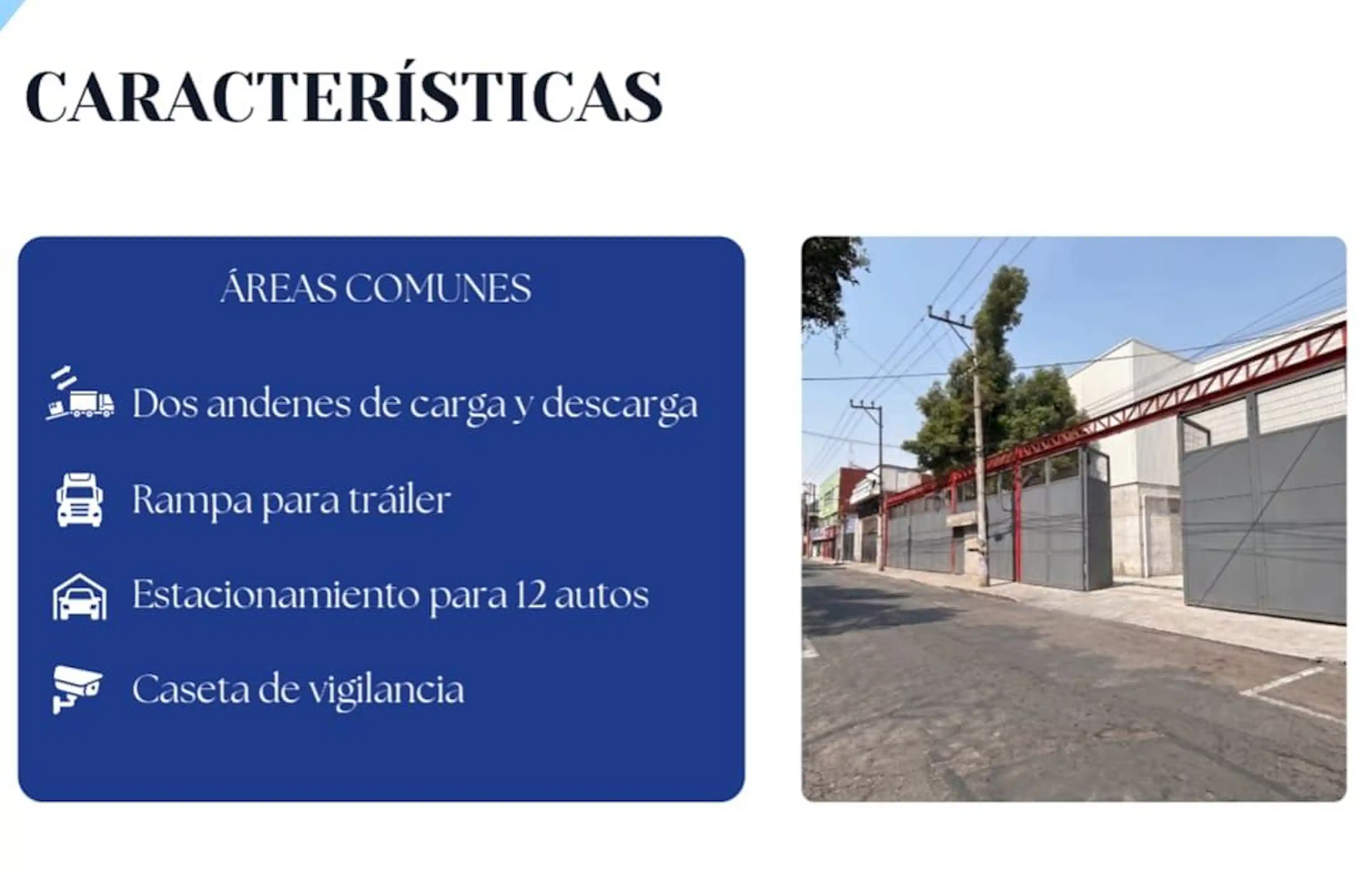 Calle Jardin