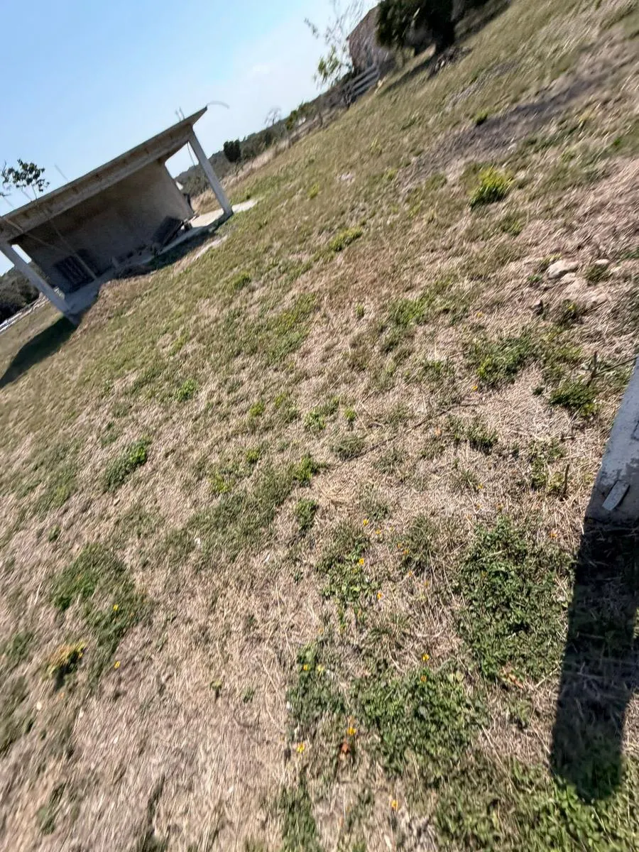 Terreno Spot2