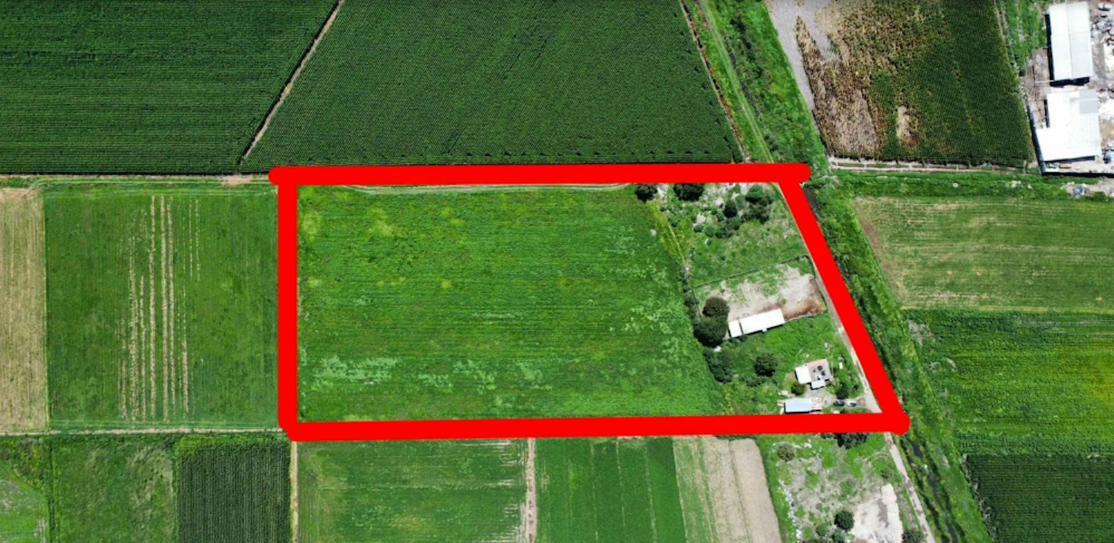 Lic Salinas De Gortari