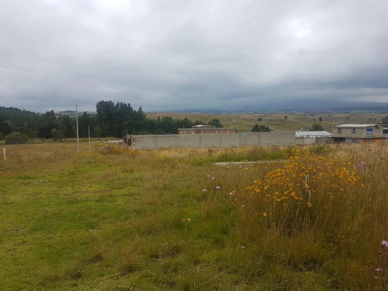 Terreno Spot2