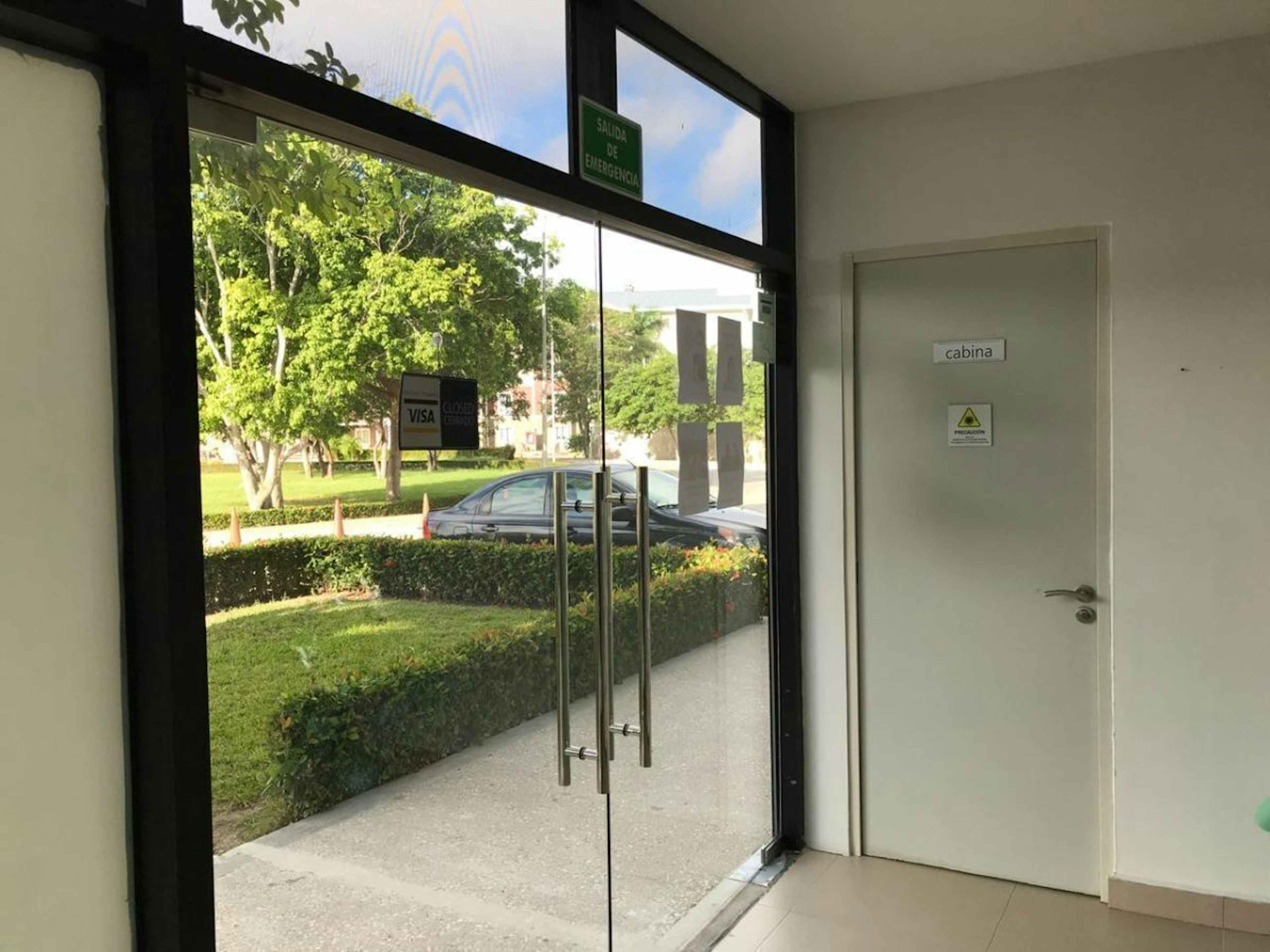 Calle Palmera Abanico