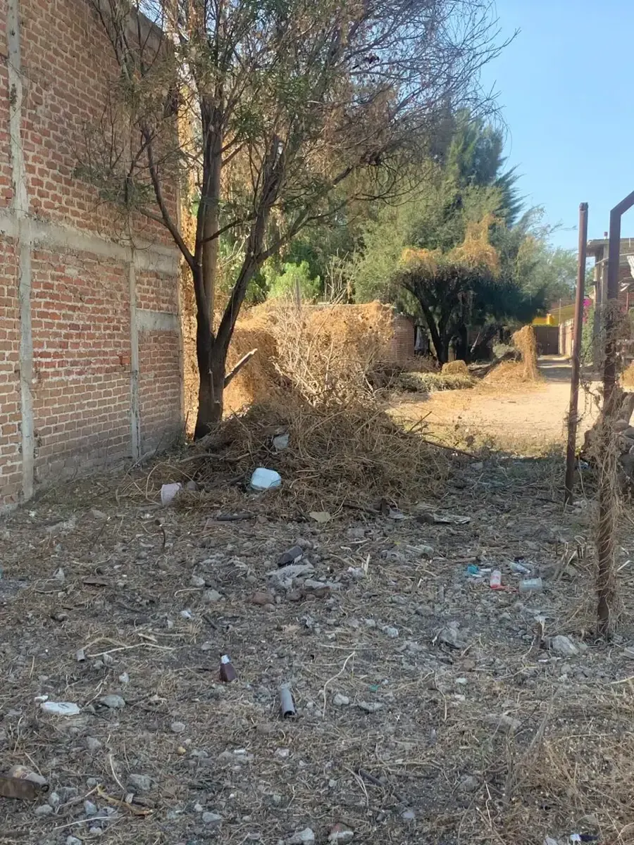 Terreno Spot2
