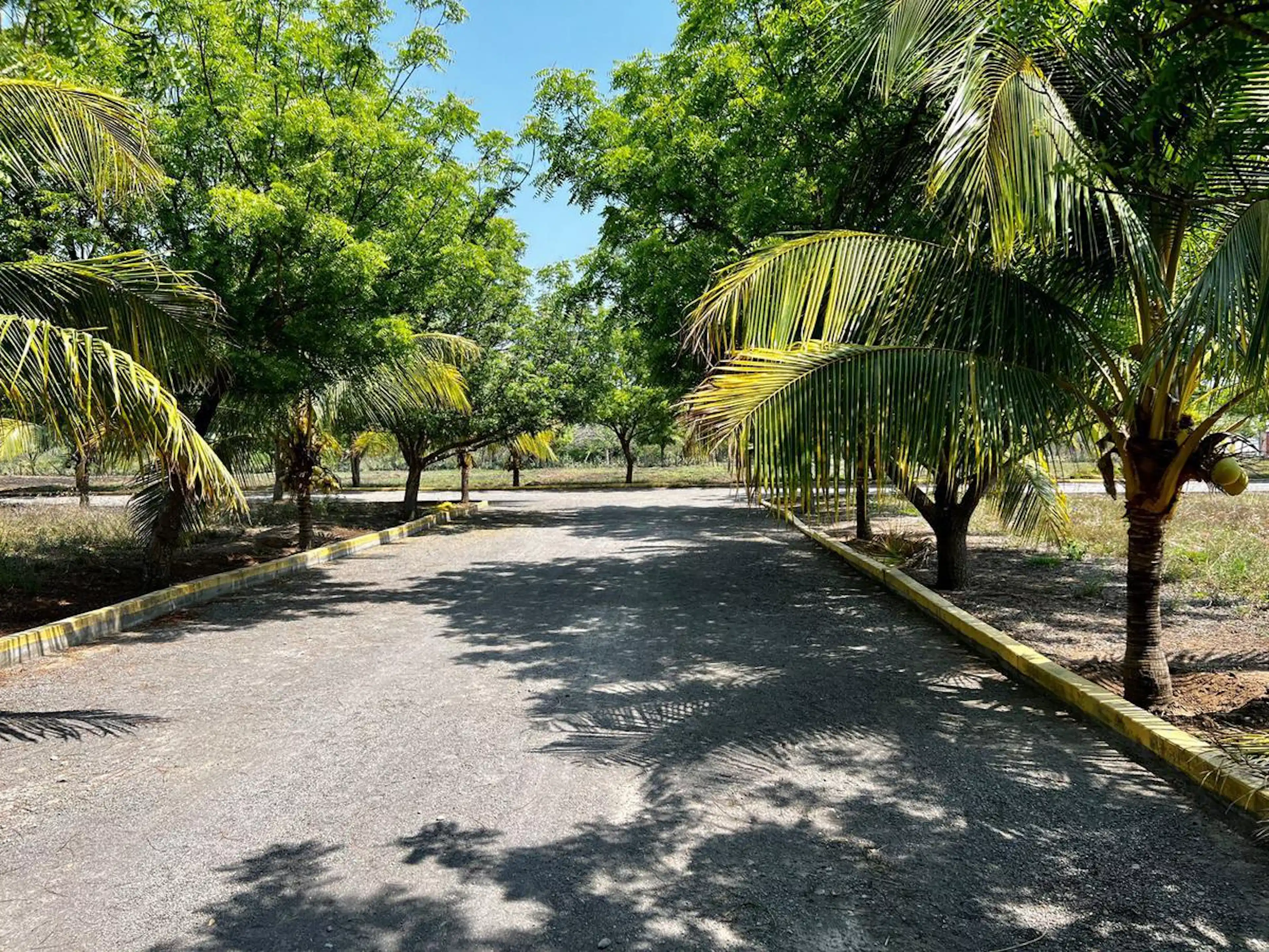 Terreno Con Alberca Y Palapa En Medellín Veracruz