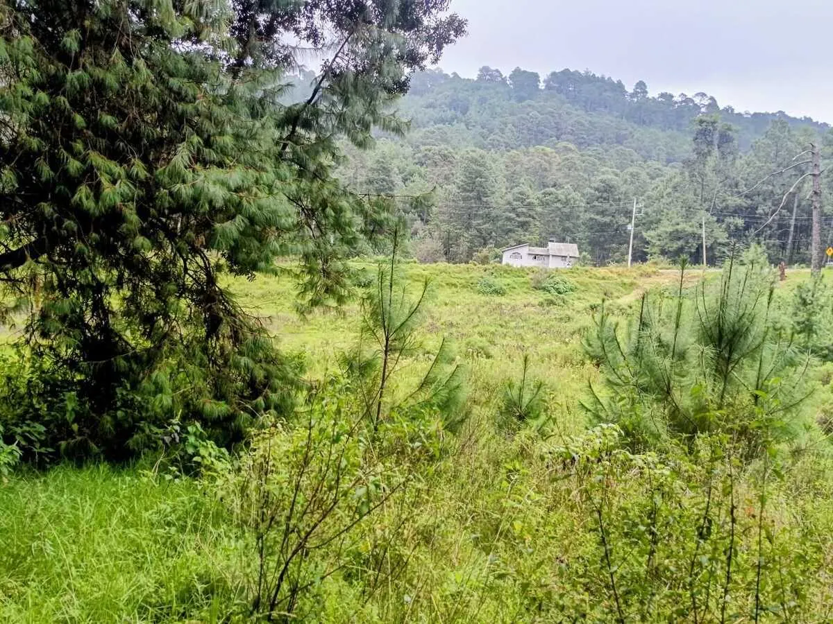 Terreno Spot2