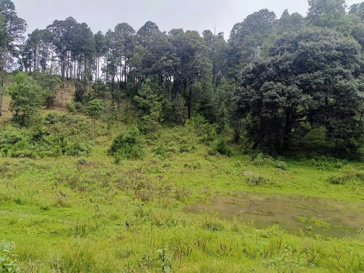 Terreno Spot2
