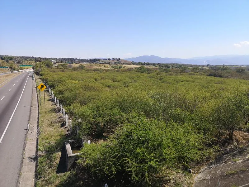 Terreno Spot2