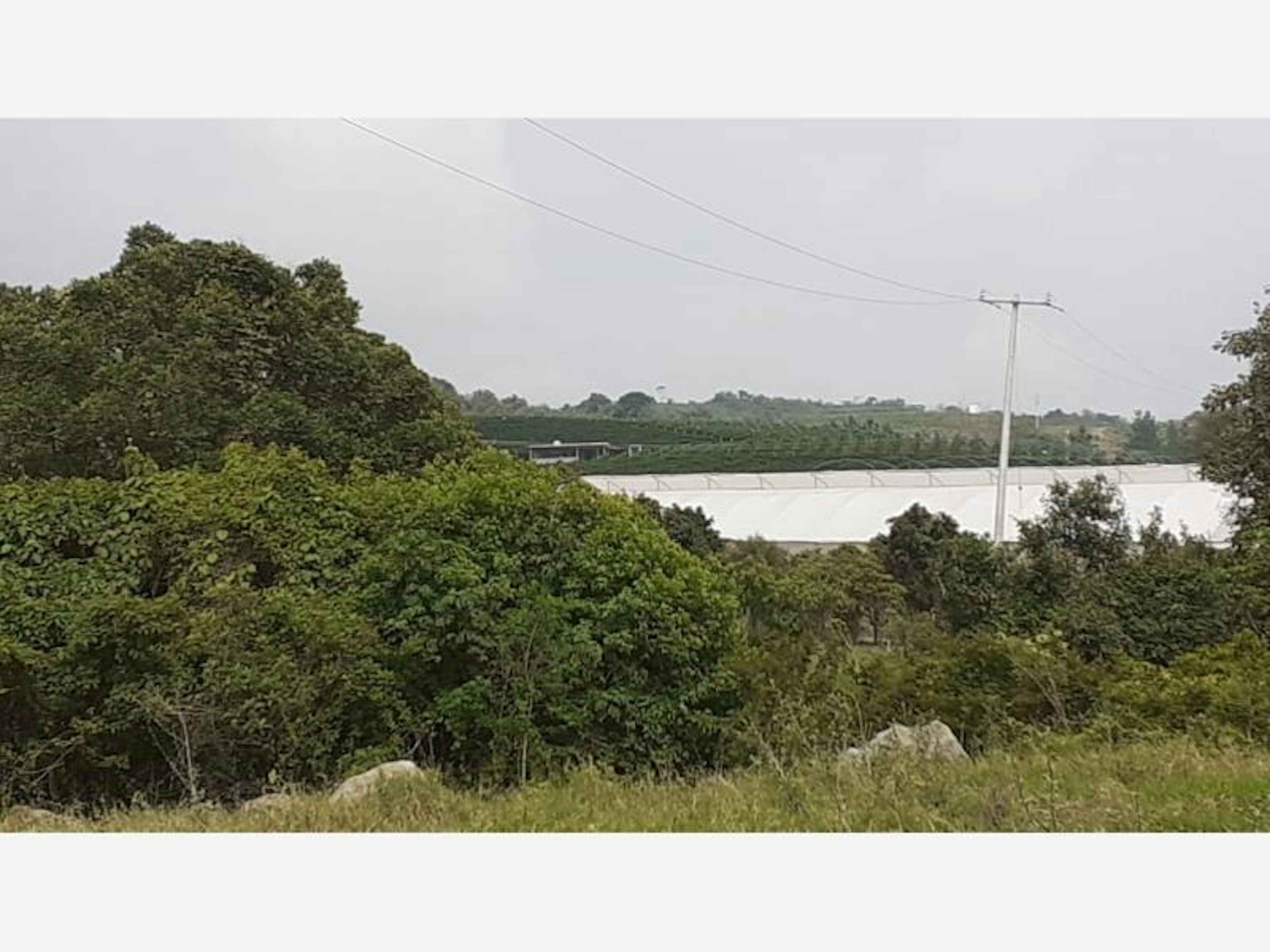 Terreno En Venta En Cuauhtemoc, Cuauhtémoc, Colima