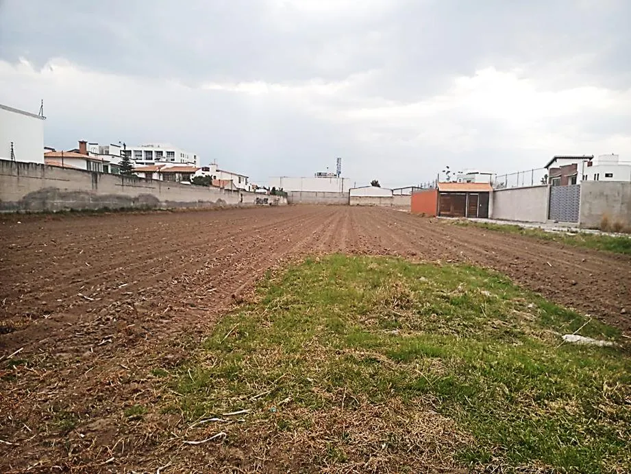 Terreno Spot2