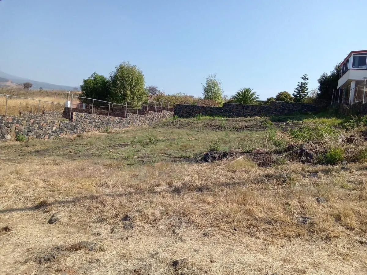 Terreno Spot2
