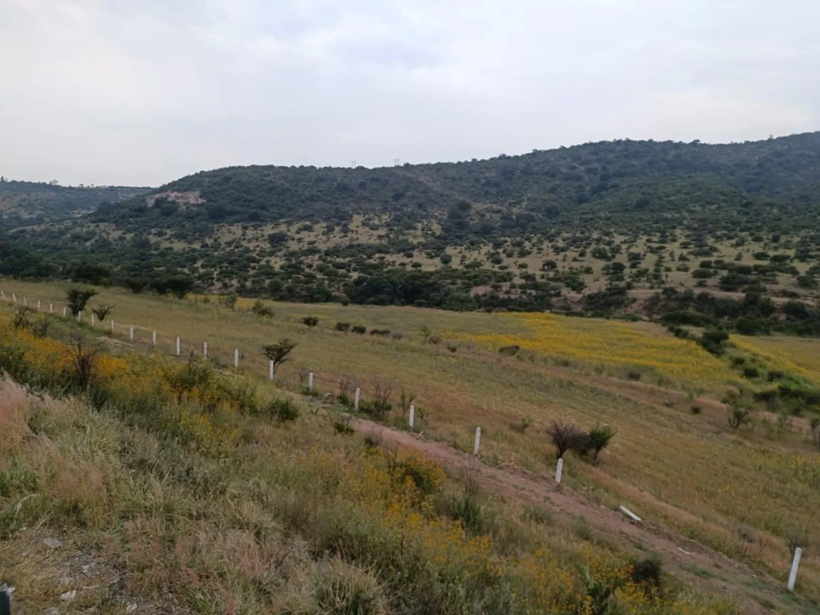 Terreno Spot2