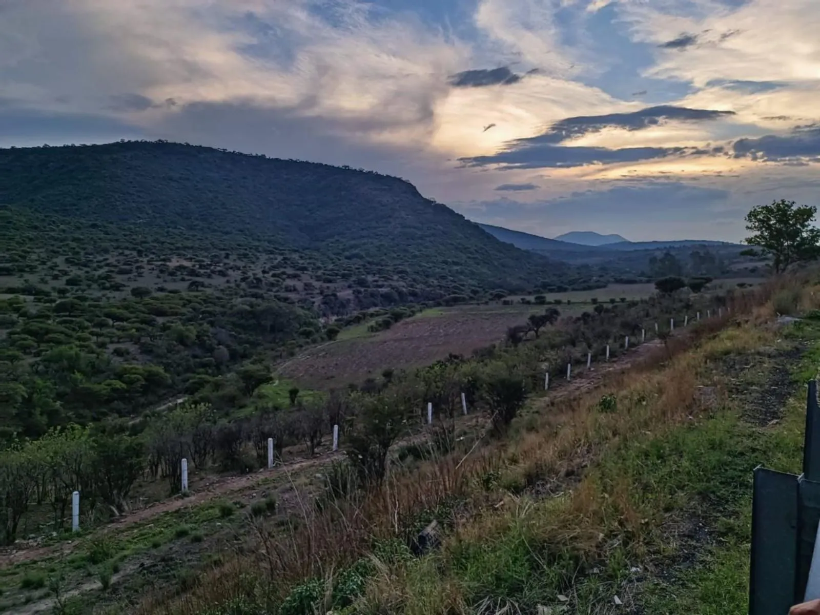 Terreno Spot2