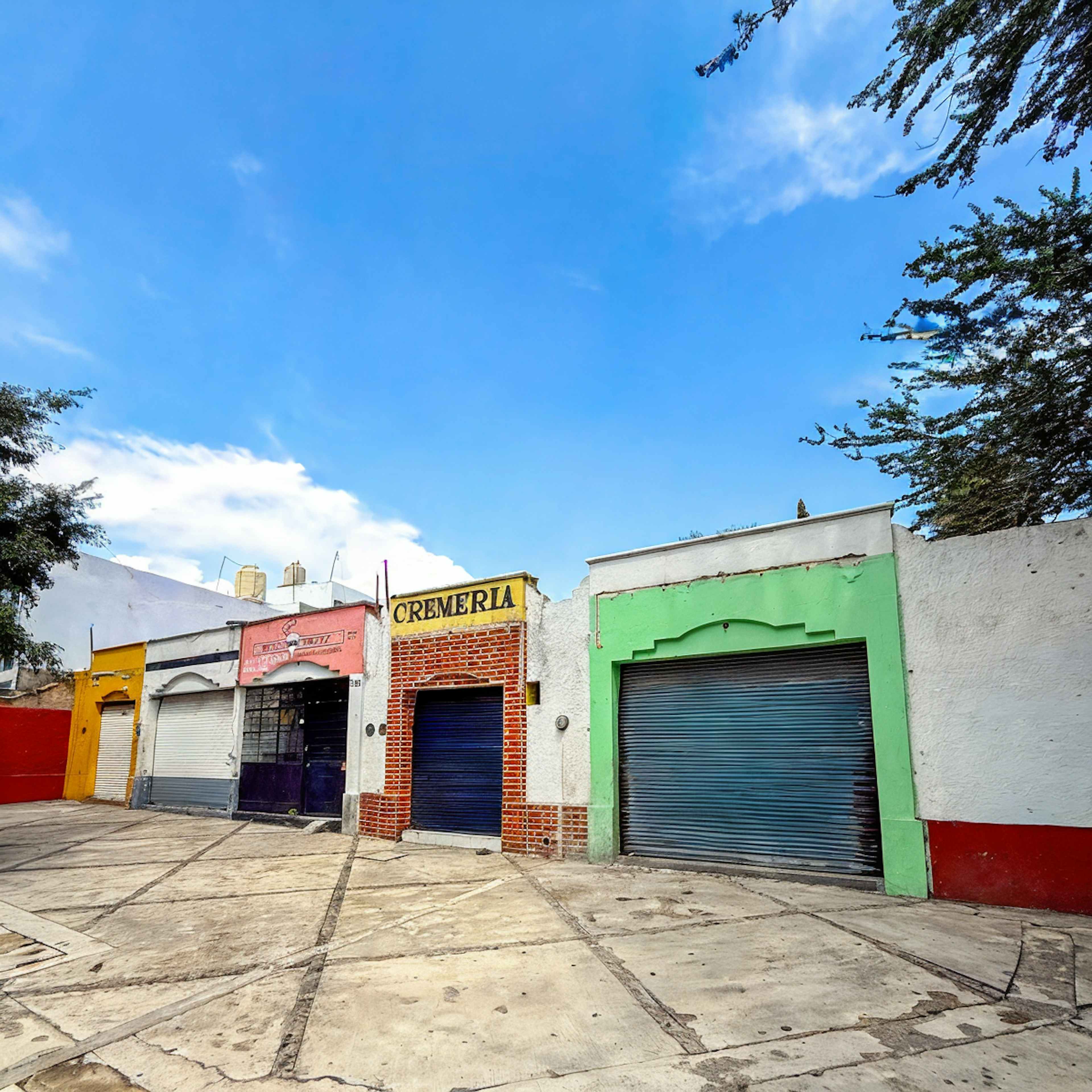 Calzada De Los Fresnos 51