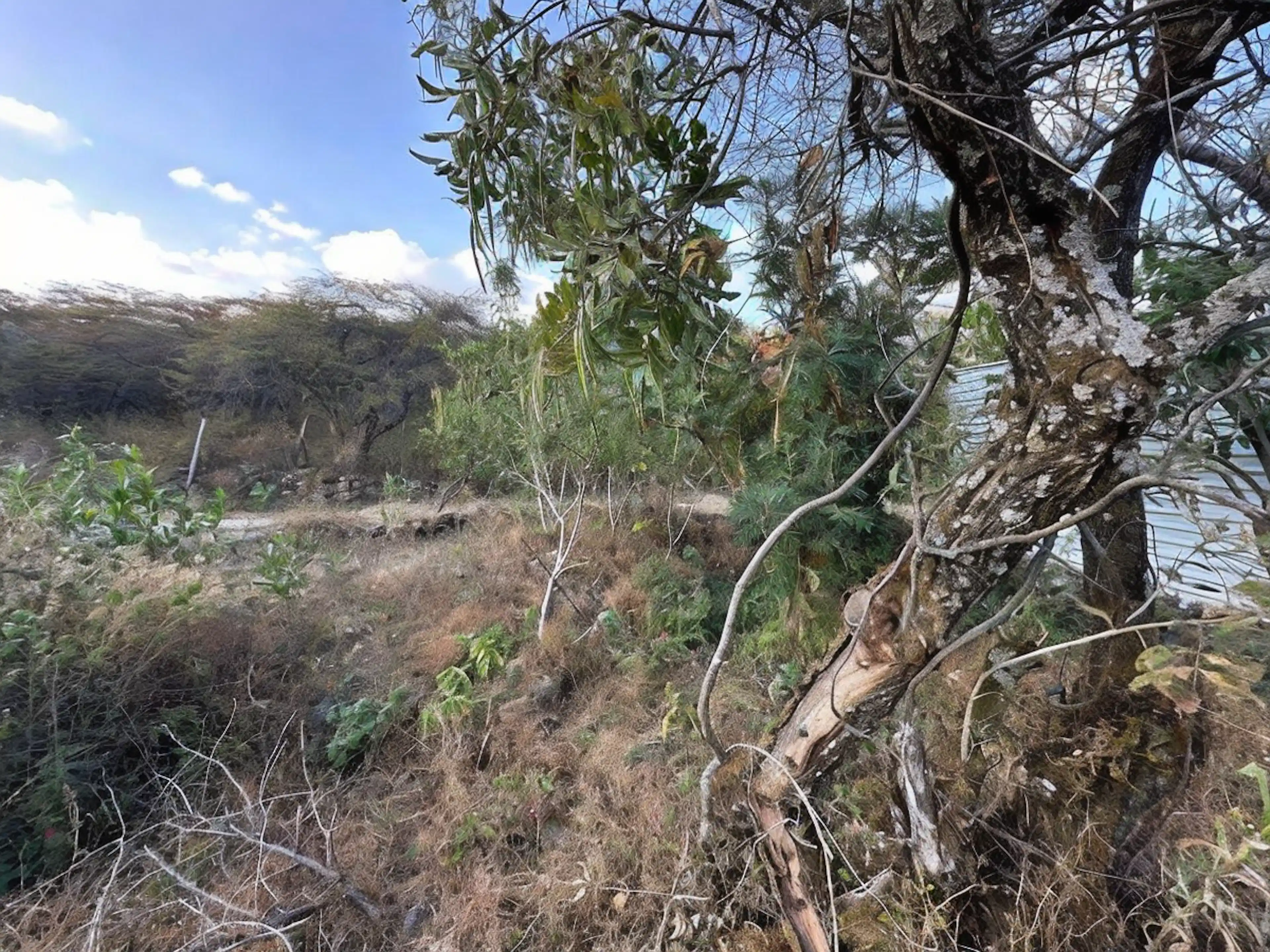Terreno en venta en Tepoztlan