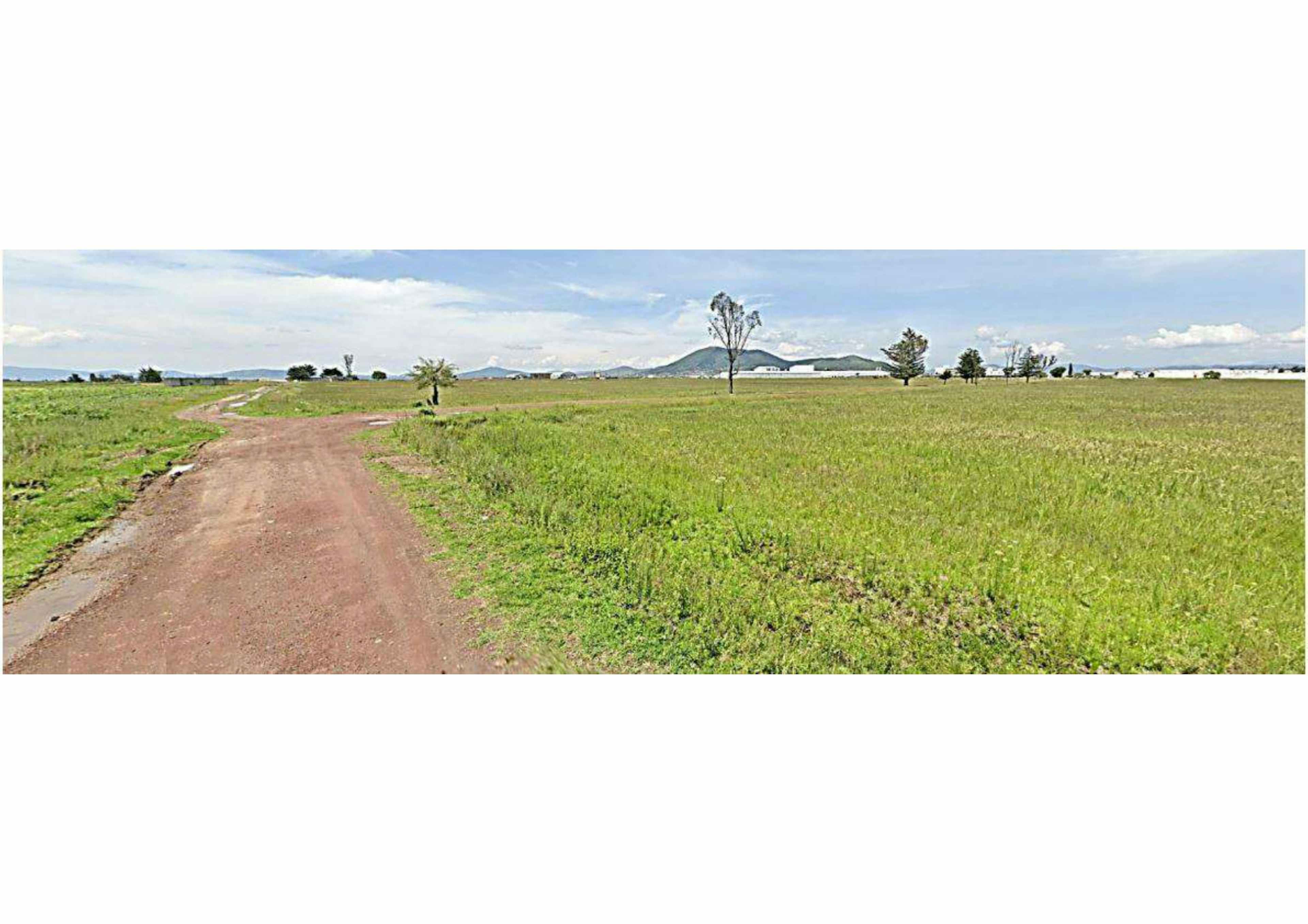 Calle San Fernando 42