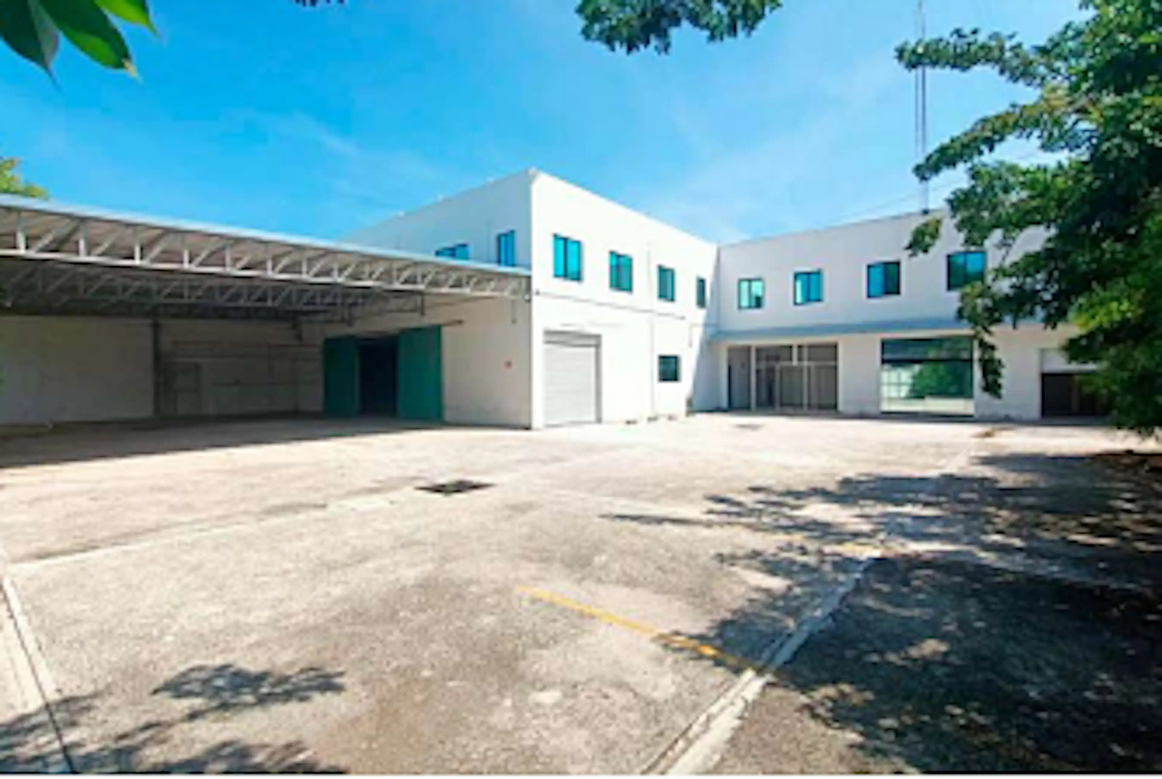 Calle 42 444