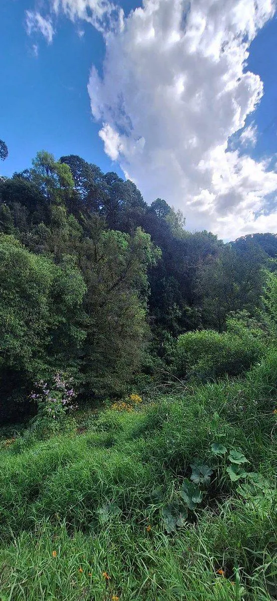 Terreno Spot2