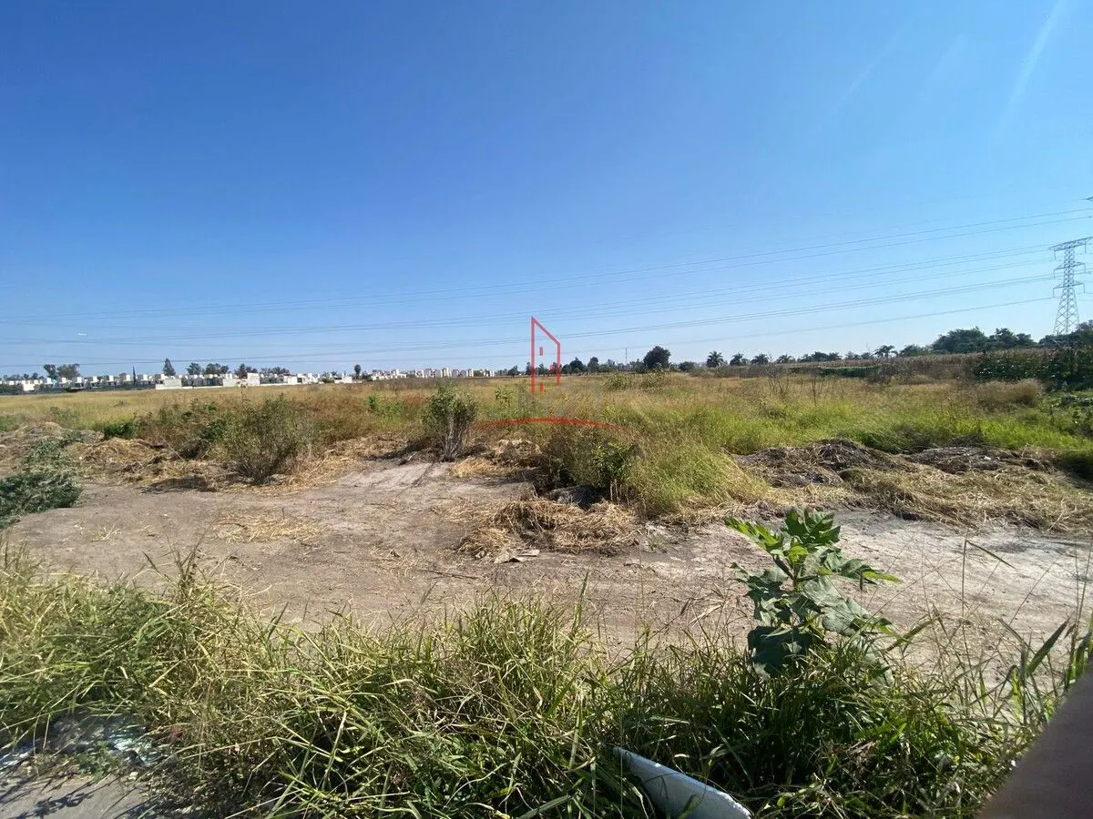 Terreno Spot2