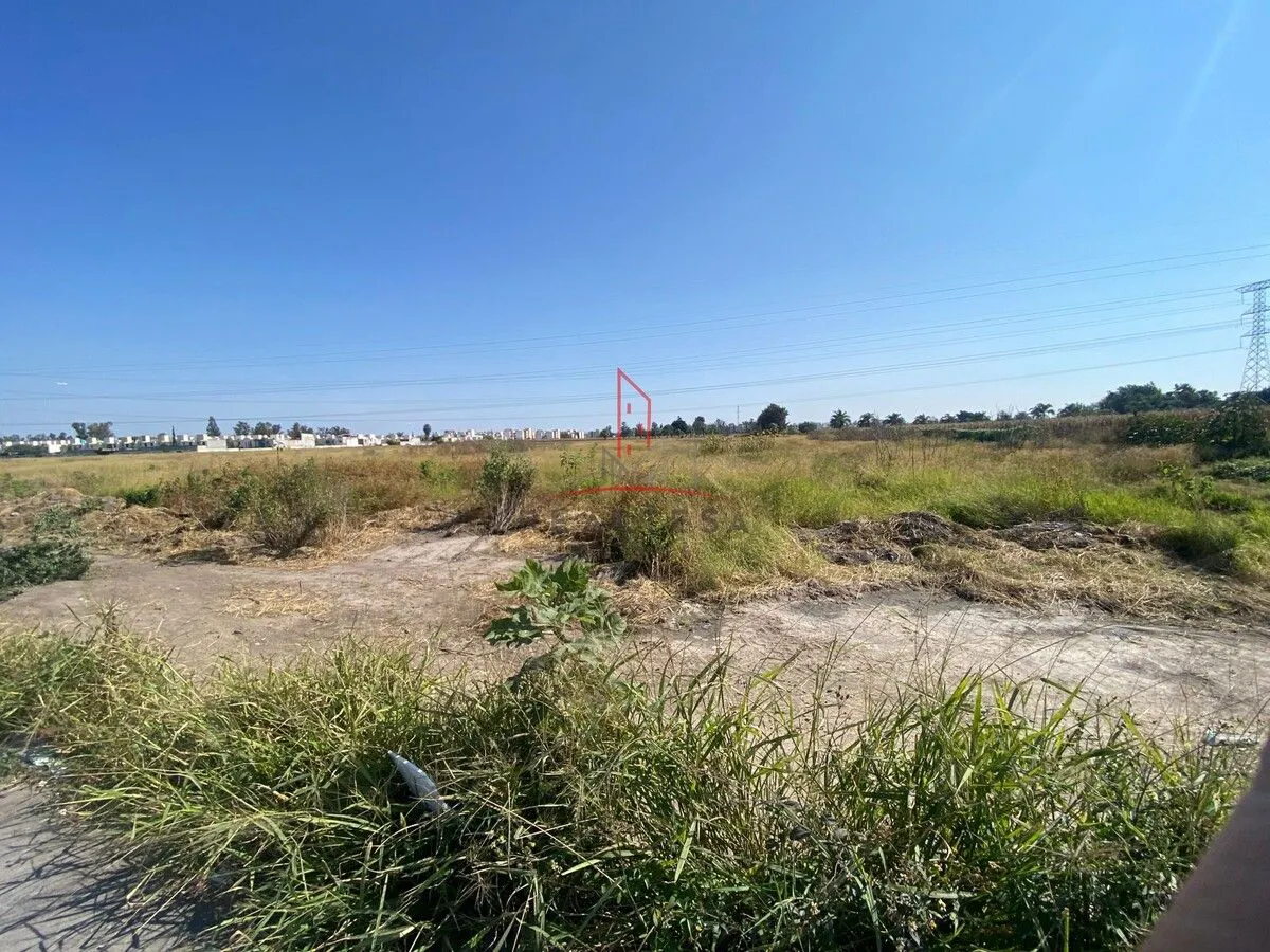 Terreno Spot2